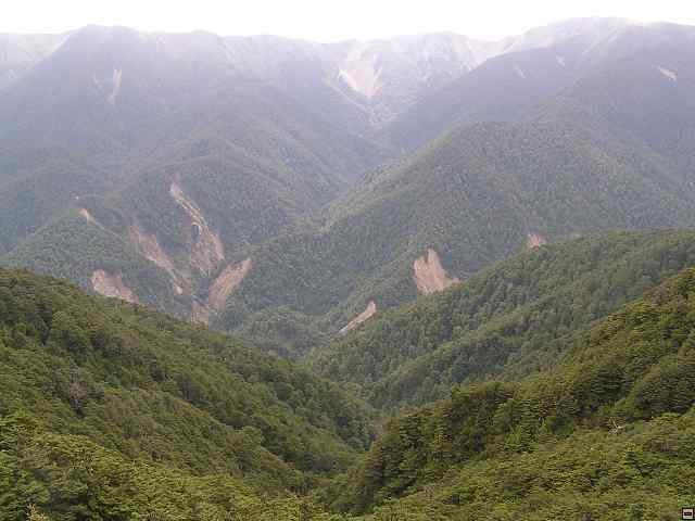 NZ leden-unor 2006 174.jpg